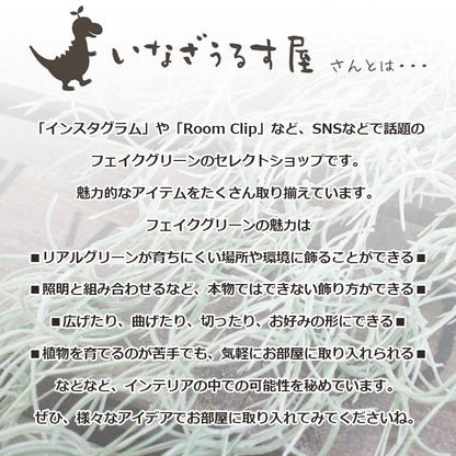 アンティーク紫陽花(クリーム)