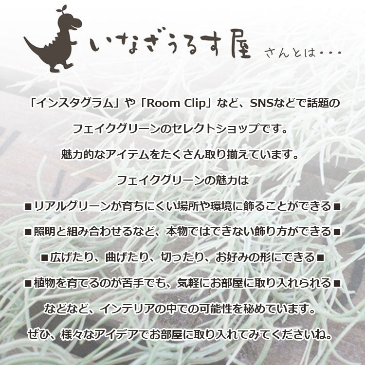 モフモフドーム