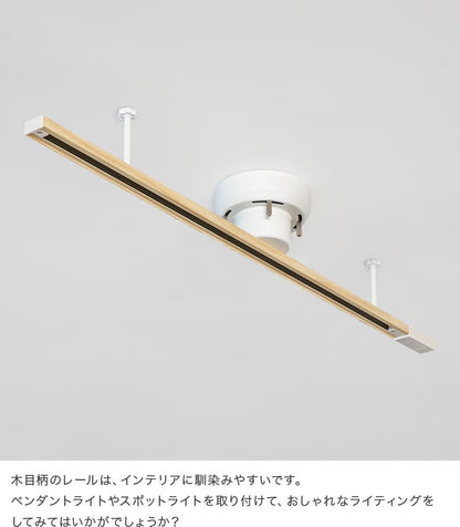アクセサリー ライティングレール
