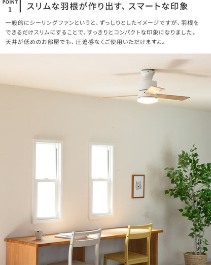 LEDシーリングファンライト バズー