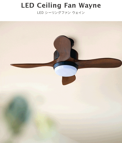 LEDシーリングファンライト ウェイン