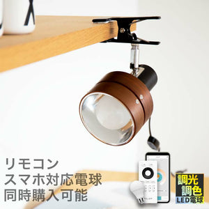 スポットライト 1灯 サレディアクリップ