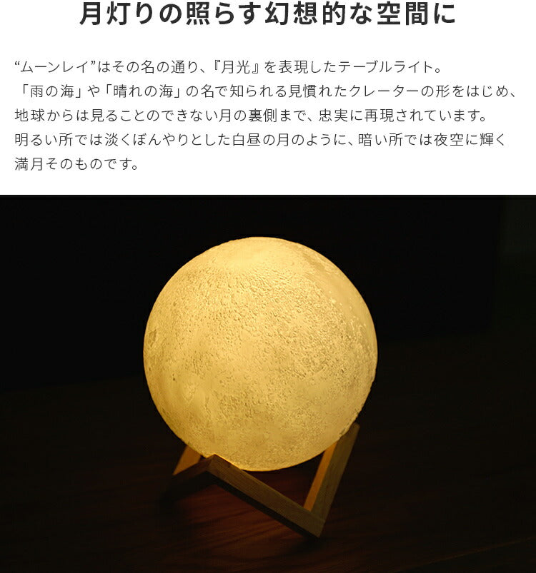 テーブルライト 1灯 ムーンレイ