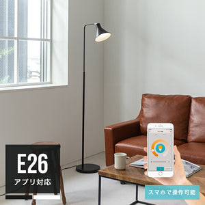 アシュトンリモート 1灯 本体＋トリゴ