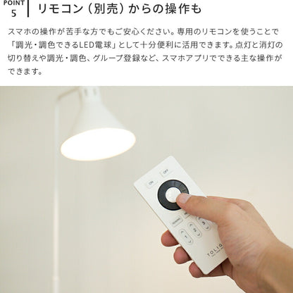 アシュトンリモート 1灯 本体＋トリゴ