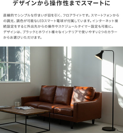 アシュトンリモート 1灯 本体＋トリゴ