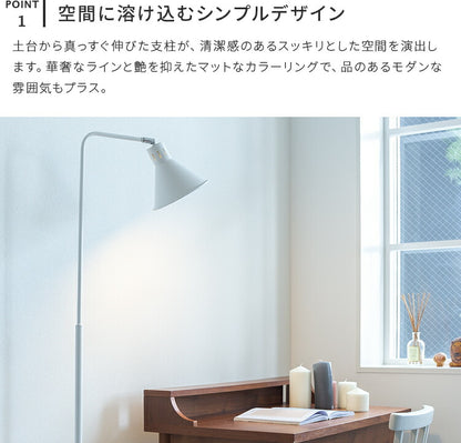 アシュトンリモート 1灯 本体＋トリゴ
