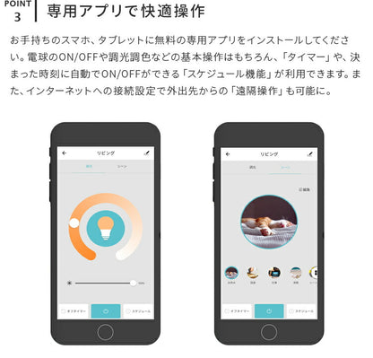 アシュトンリモート 1灯 本体＋トリゴ