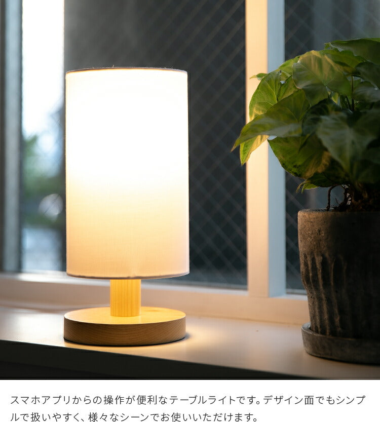 エレノラリモート 1灯 本体＋トリゴ