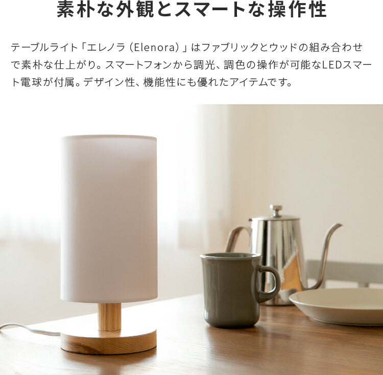 エレノラリモート 1灯 本体＋トリゴ