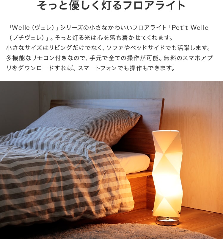 プチヴェレリモート 1灯 本体＋トリゴ