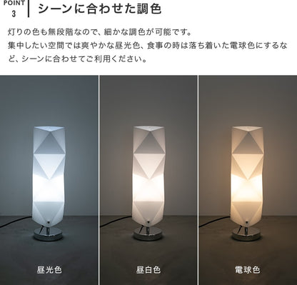 プチヴェレリモート 1灯 本体＋トリゴ