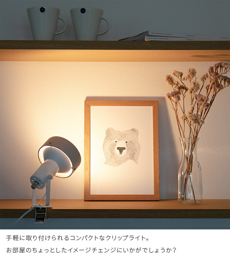 スポットライト 1灯 ナッシュ