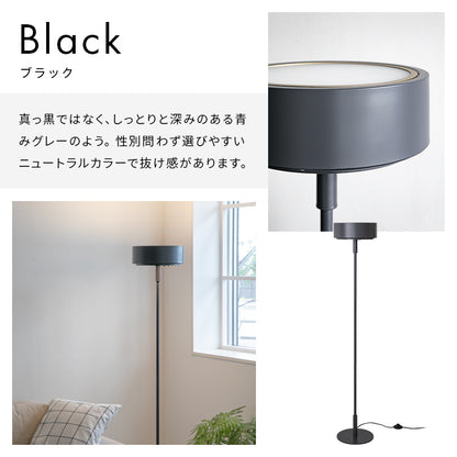 LEDフロアライト ラメロ