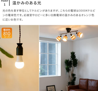 LED電球 810lm E26