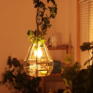 ペンダントライト 1灯 ロヴェール