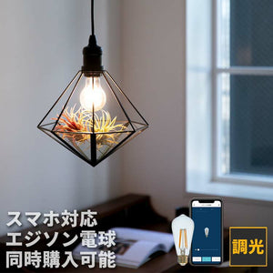 ペンダントライト 1灯 フィオーレ フェイクグリーンセット