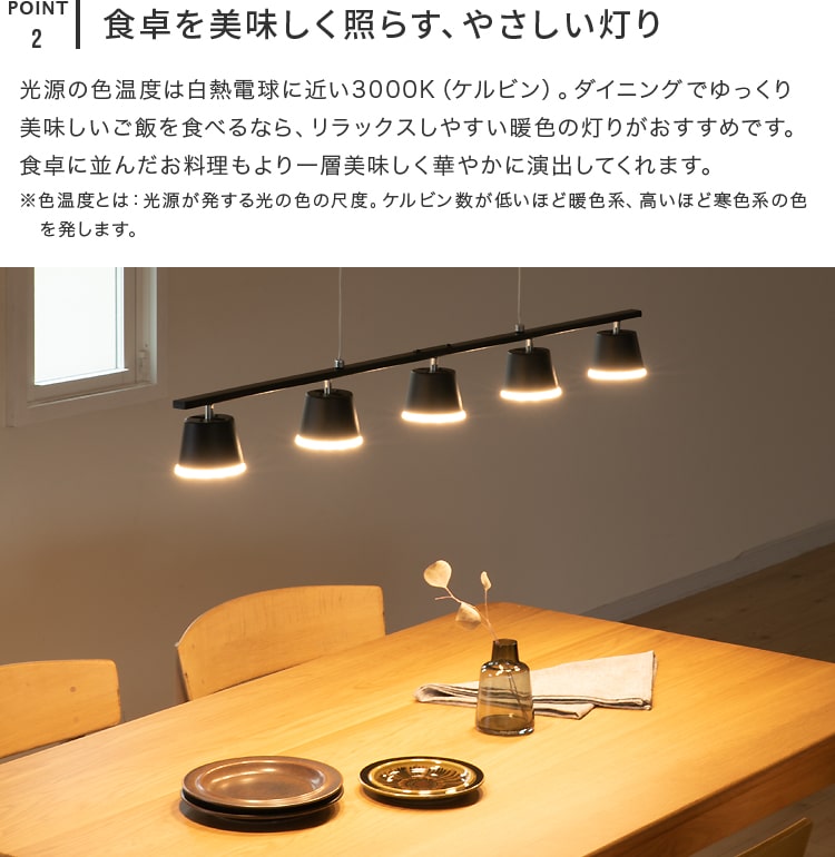 LEDペンダントライト 5灯 トルヴェ