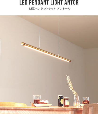 LEDペンダントライト アントール