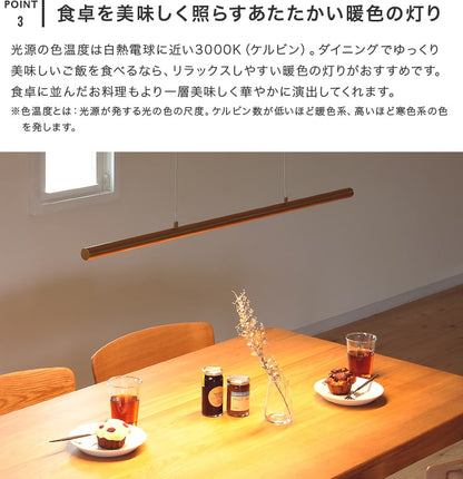 LEDペンダントライト アントール