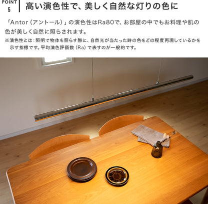 LEDペンダントライト アントール