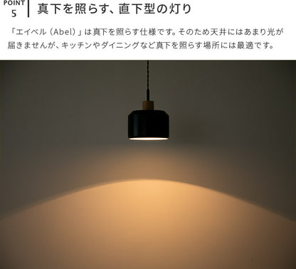 ペンダントライト 1灯 エイベル