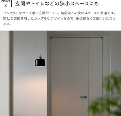 ペンダントライト 1灯 エイベル