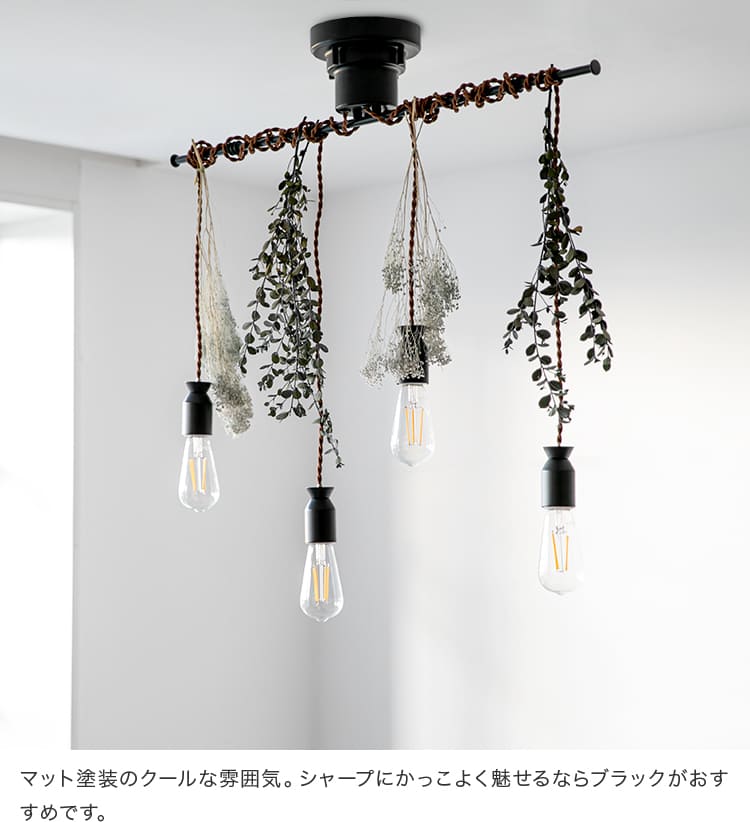 み*た様 LEDライト　ＧＥＸＦＬＵＢＡＬＰＬＡＮＴＮＡＮＯ(プラントナノ)　L ペンダントライト 4灯 ルバート 本体＋TOLIGOフィラメント電球