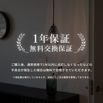 ペンダントライト 1灯 パスカル
