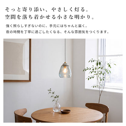 ペンダントライト 1灯 レイノラ