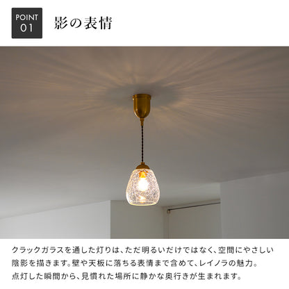 ペンダントライト 1灯 レイノラ