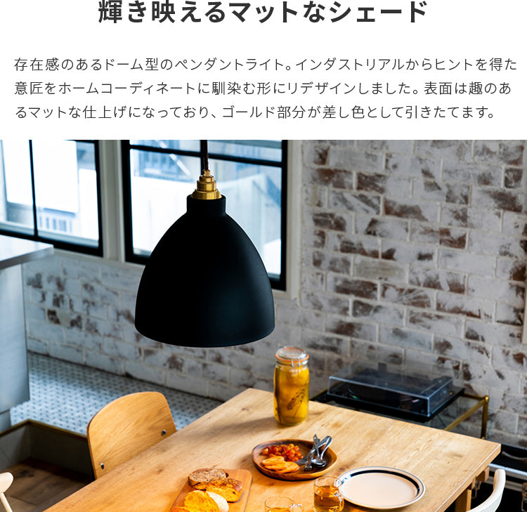 ペンダントライト 1灯 アンバリッド