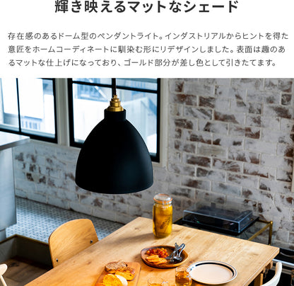 ペンダントライト 1灯 アンバリッド