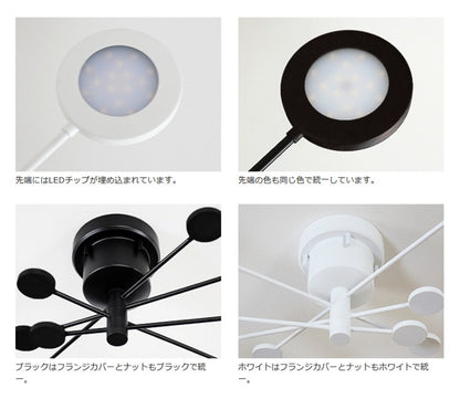 LEDシーリングライト アーク