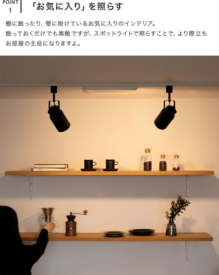 スポットライト 1灯 ベニー