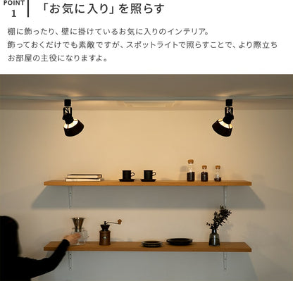 スポットライト 1灯 コティダクト