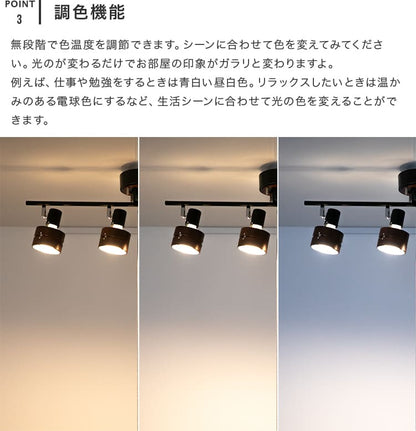 シーリングライト 4灯 サレディア　本体＋トリゴ