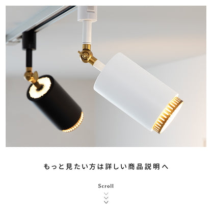 スポットライト 1灯 ダクナスダクト
