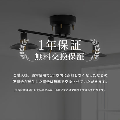 シーリングライト 4灯 カルーソ