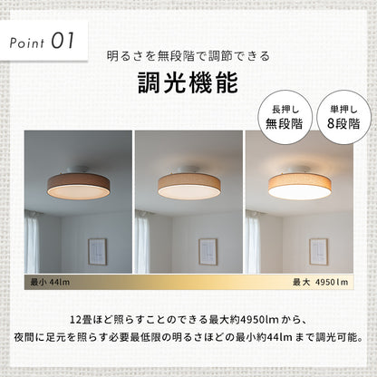 LEDシーリングライト ラメロシアリック