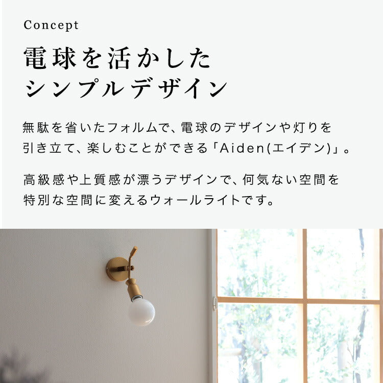 ウォールライト 1灯 エイデン