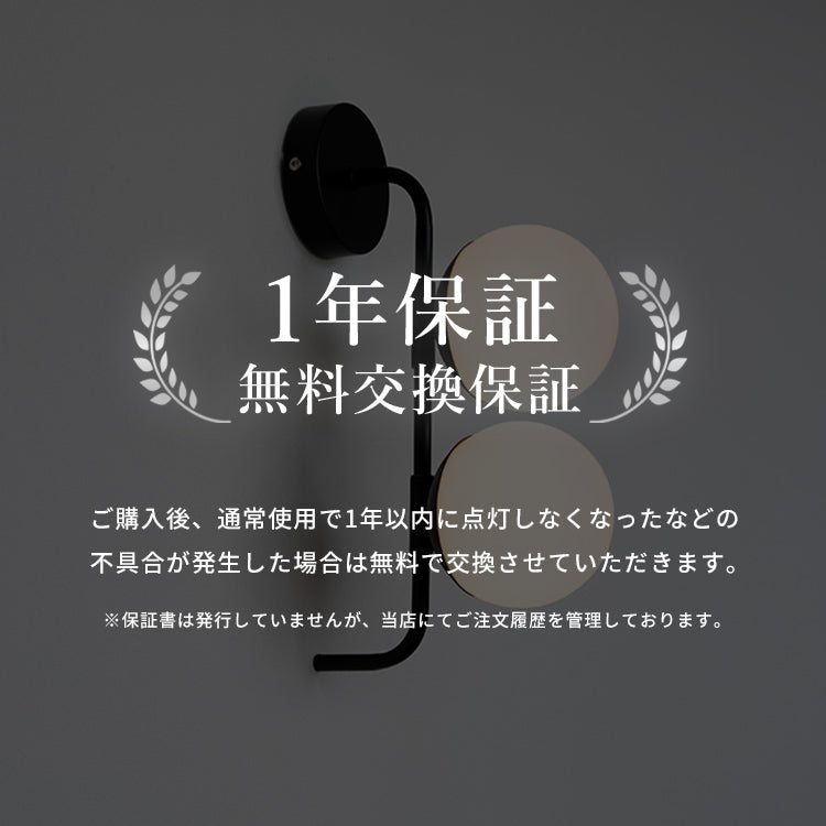LEDウォールライト 2灯 ジェイデン