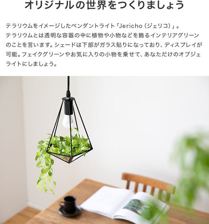 ペンダントライト 1灯 ジェリコ フェイクグリーンセット
