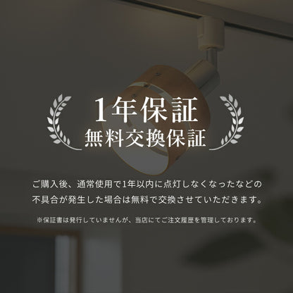 スポットライト 1灯 レダダクト