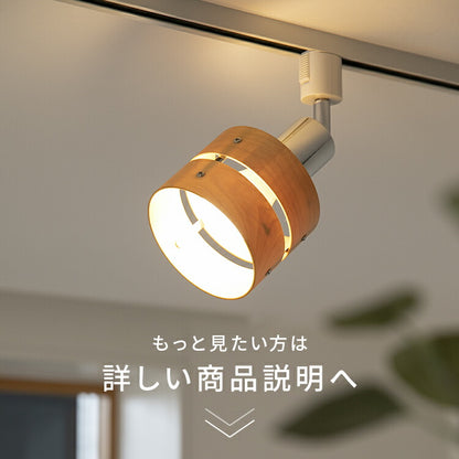スポットライト 1灯 レダダクト