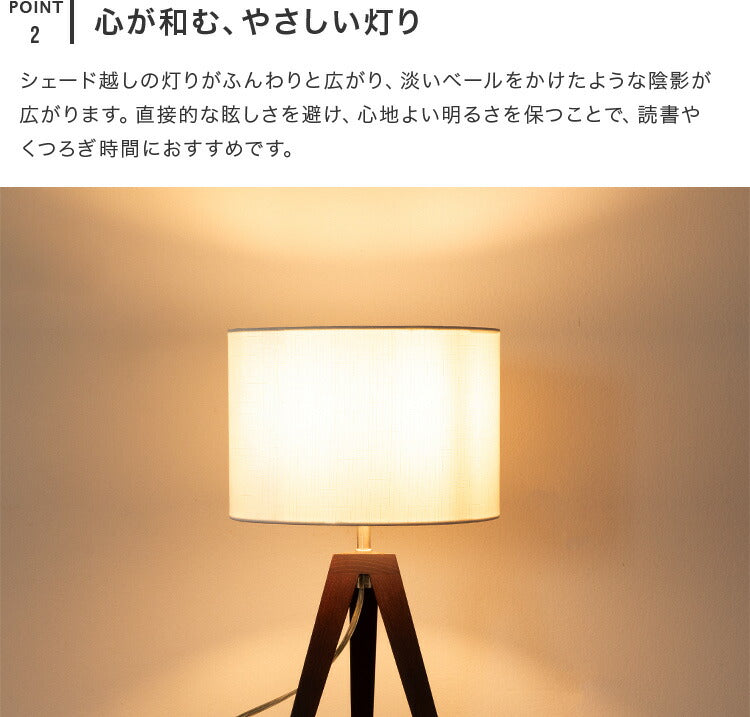 フロアライト 1灯 EXF-001