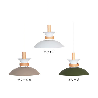 ペンダントライト 1灯 EXP-002