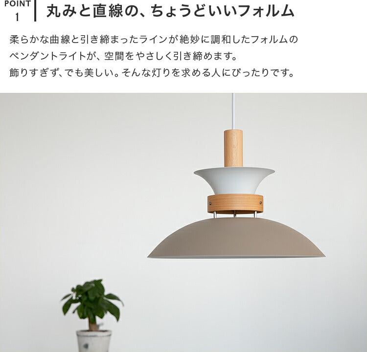 ペンダントライト 1灯 EXP-002