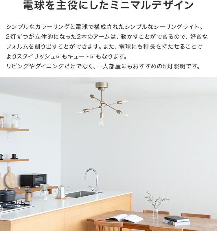 シーリングライト 6灯 EXS-002