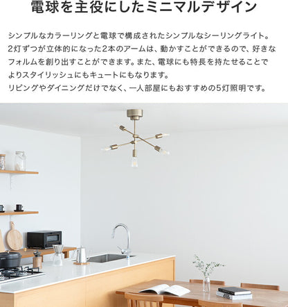 シーリングライト 6灯 EXS-002